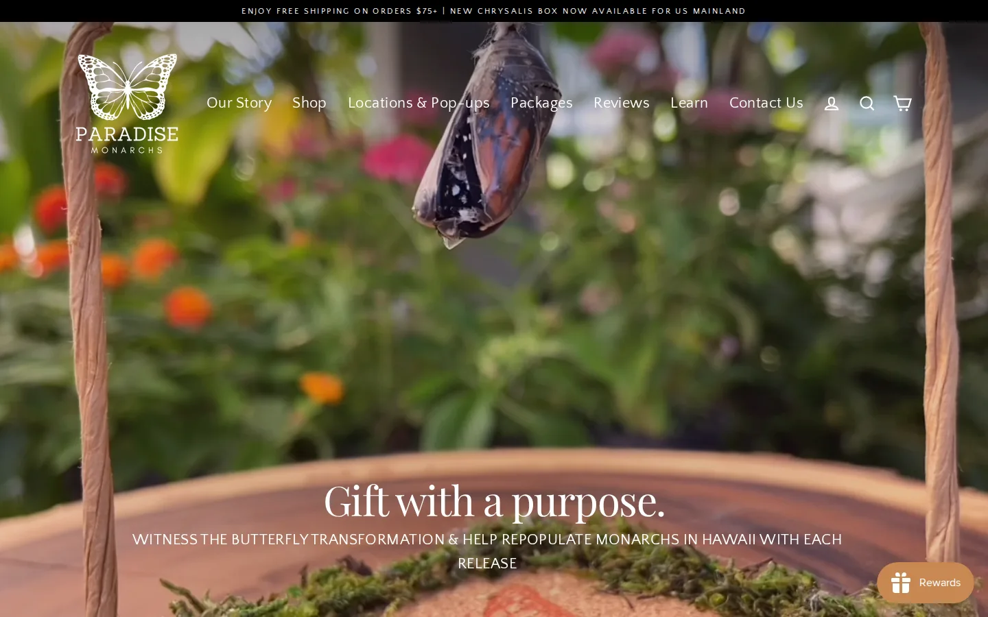 Captured website of Paradise Monarchs