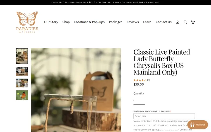 /products/classic-live-painted-lady-butterfly-chrysalis-box-us-mainland-only — Paradise Monarchs