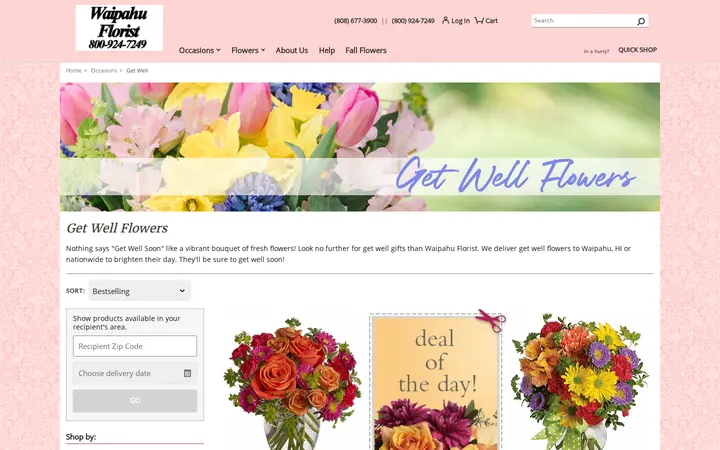 /get-well/cat1000018 — Waipahu Florist