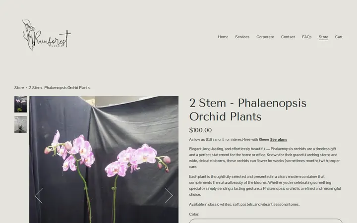 /store/p/the-haven-vessel-rt5y6-kdneg — Rainforest Florals at Young St.