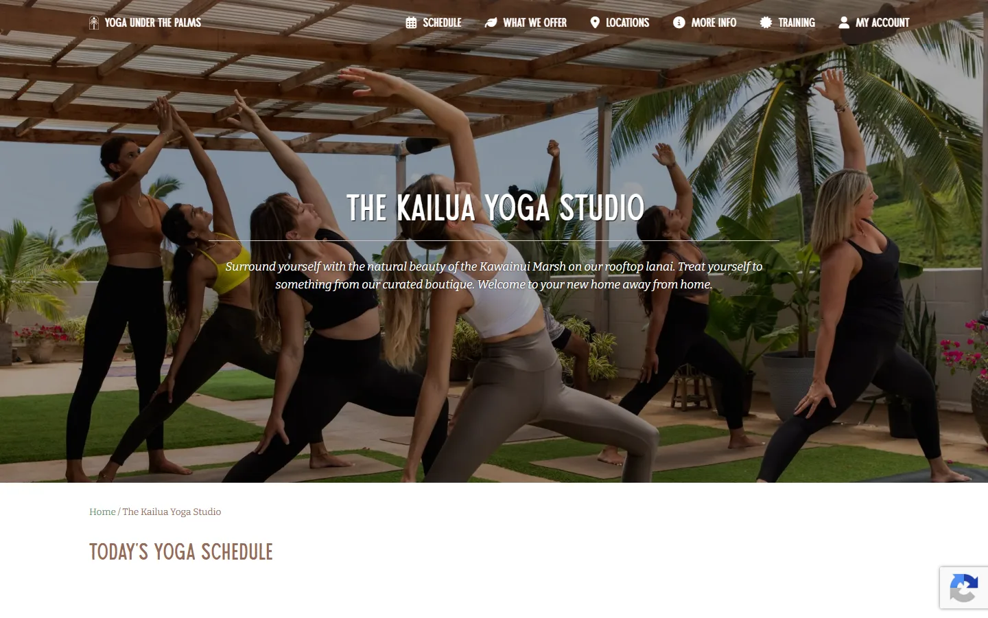 Captured website of Yoga Under the Palms